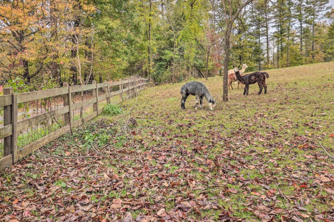 Rustic Hendersonville Farm Studio With Private Deck 외부 사진