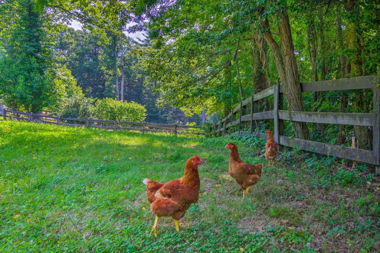 Rustic Hendersonville Farm Studio With Private Deck 외부 사진