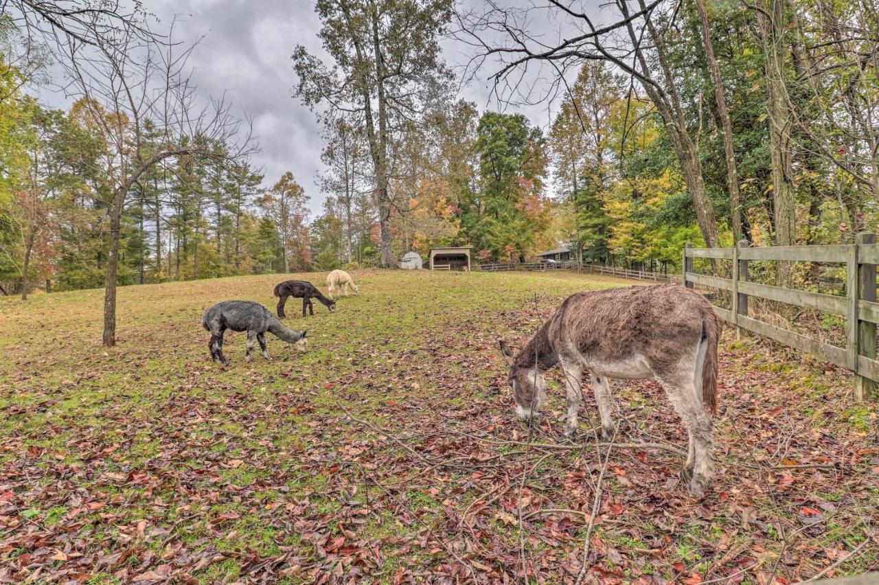 Rustic Hendersonville Farm Studio With Private Deck 외부 사진